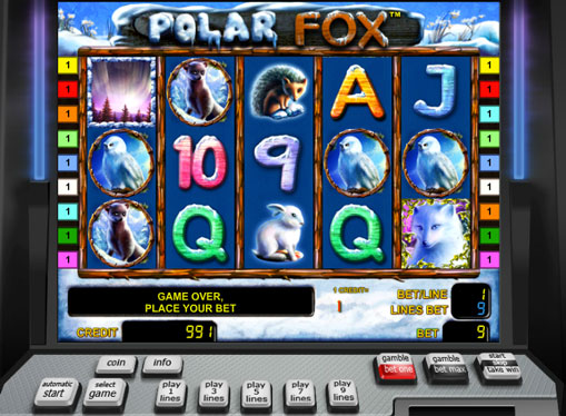 Polar Foxオンラインプレイスロット